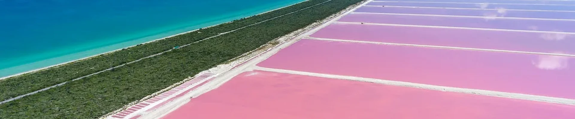 Danielpinklake